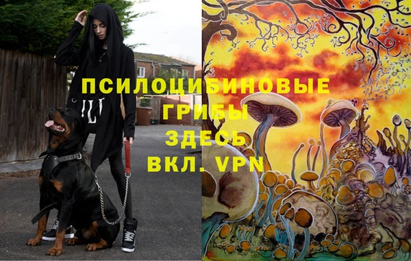 меф Армянск