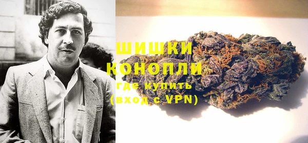 ГАЛЛЮЦИНОГЕННЫЕ ГРИБЫ Алзамай